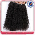 China Supplier Timely Shipment Remy Malaysian Afro Kinky Curly Virgin Hair